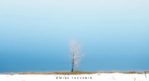 © Tree on Lake Sublime. Photographer Mina Thevenin in Colorado in Winter