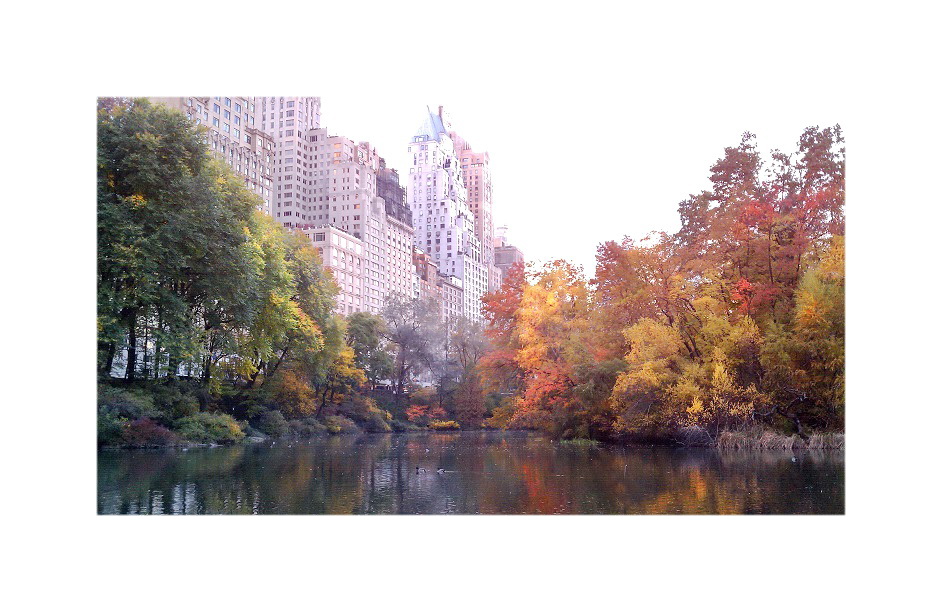 © Fall in Central Park, New York. Image by Mina Thevenin