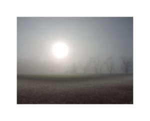 © Horse Farm in Morning Fog. Kentucky. Image by Mina Thevenin @ https://www.minathevenin.com/mina-thevenin/